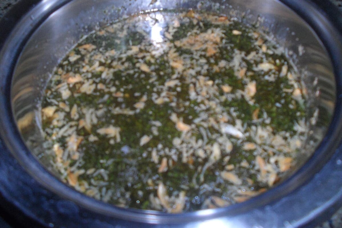 Molokhia