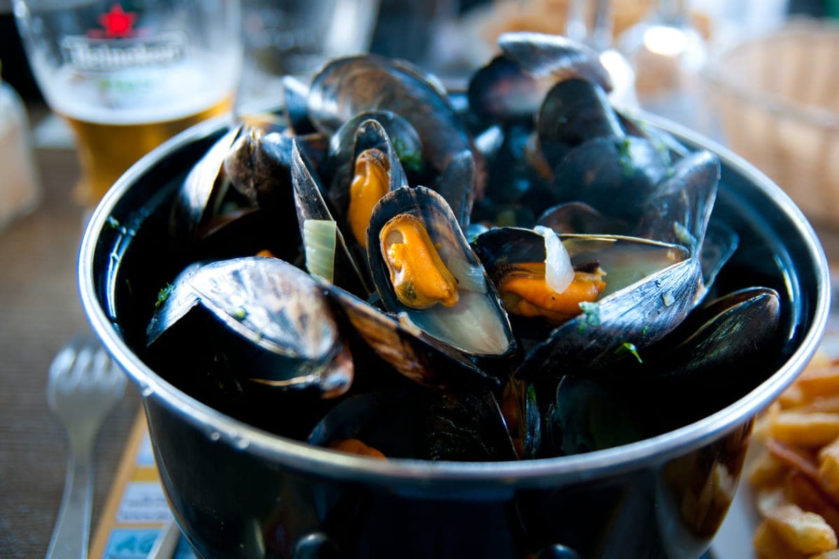 Moules marinières