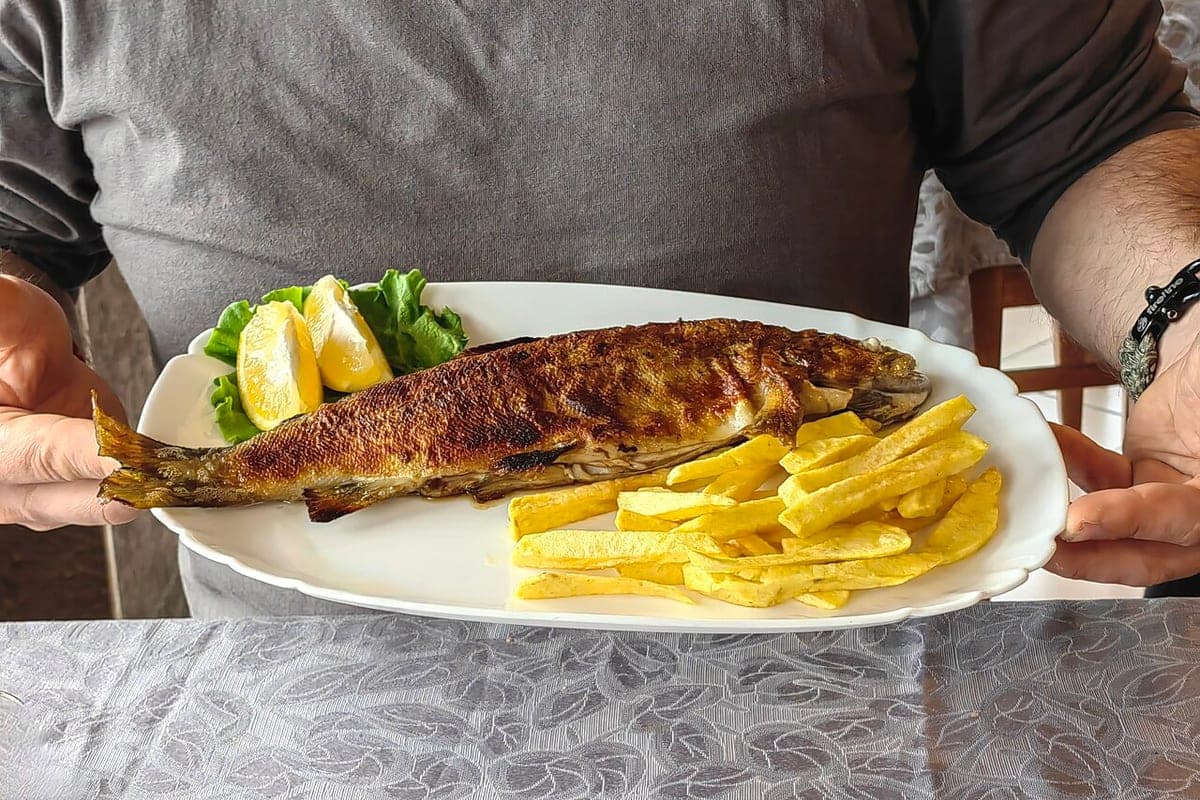 Trucha de Ohrid