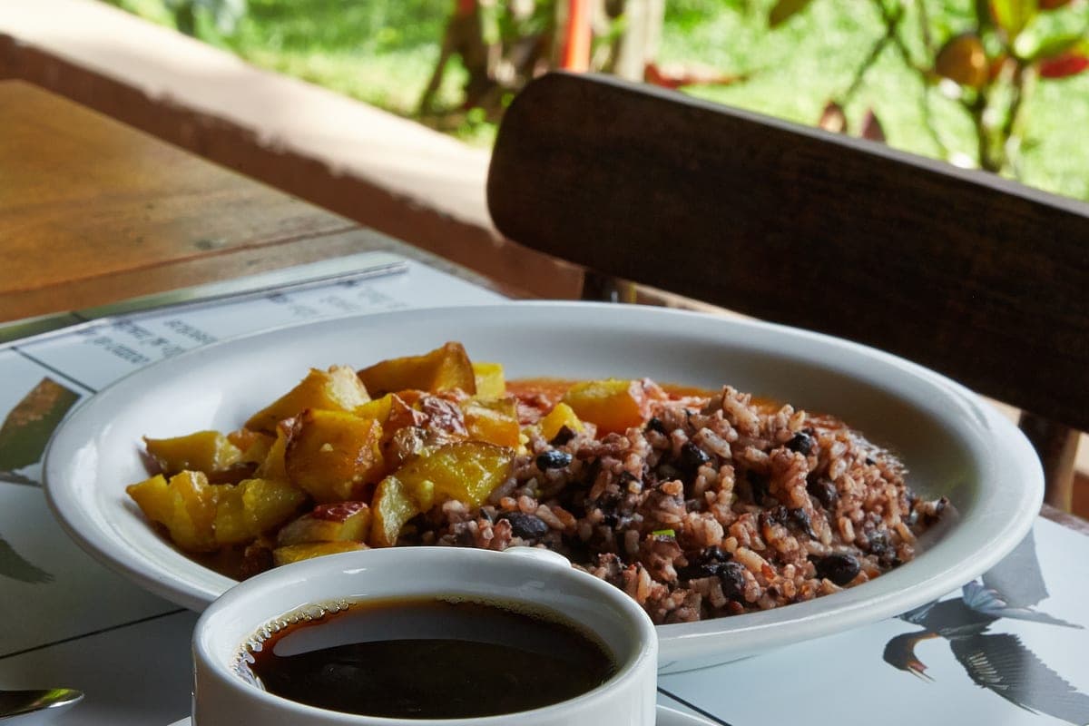 Gallo pinto