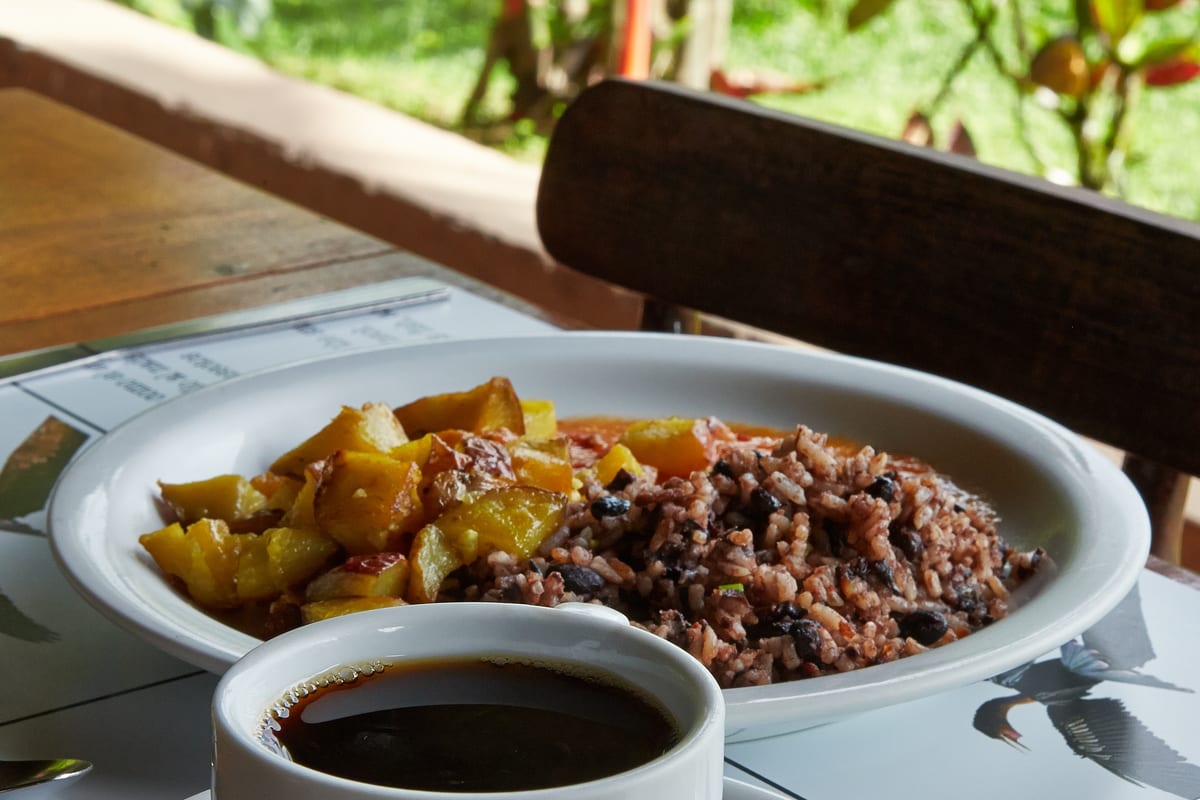 Gallo pinto