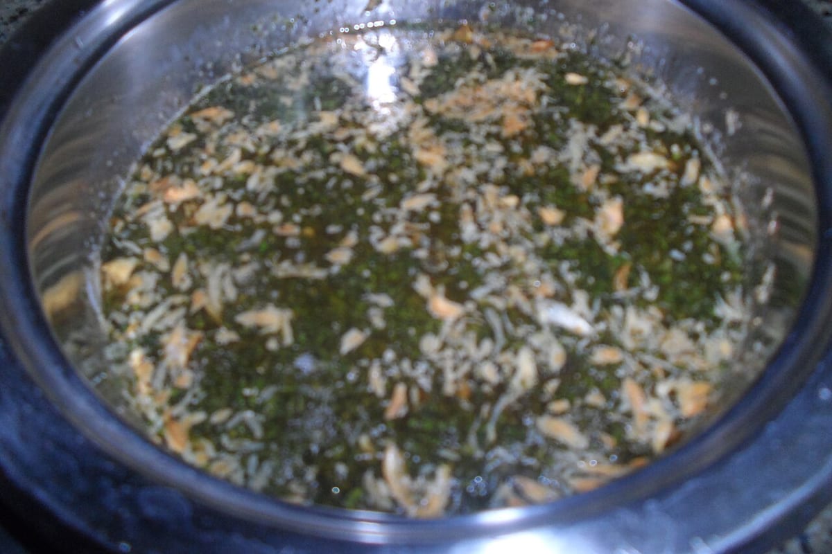 Molokhia